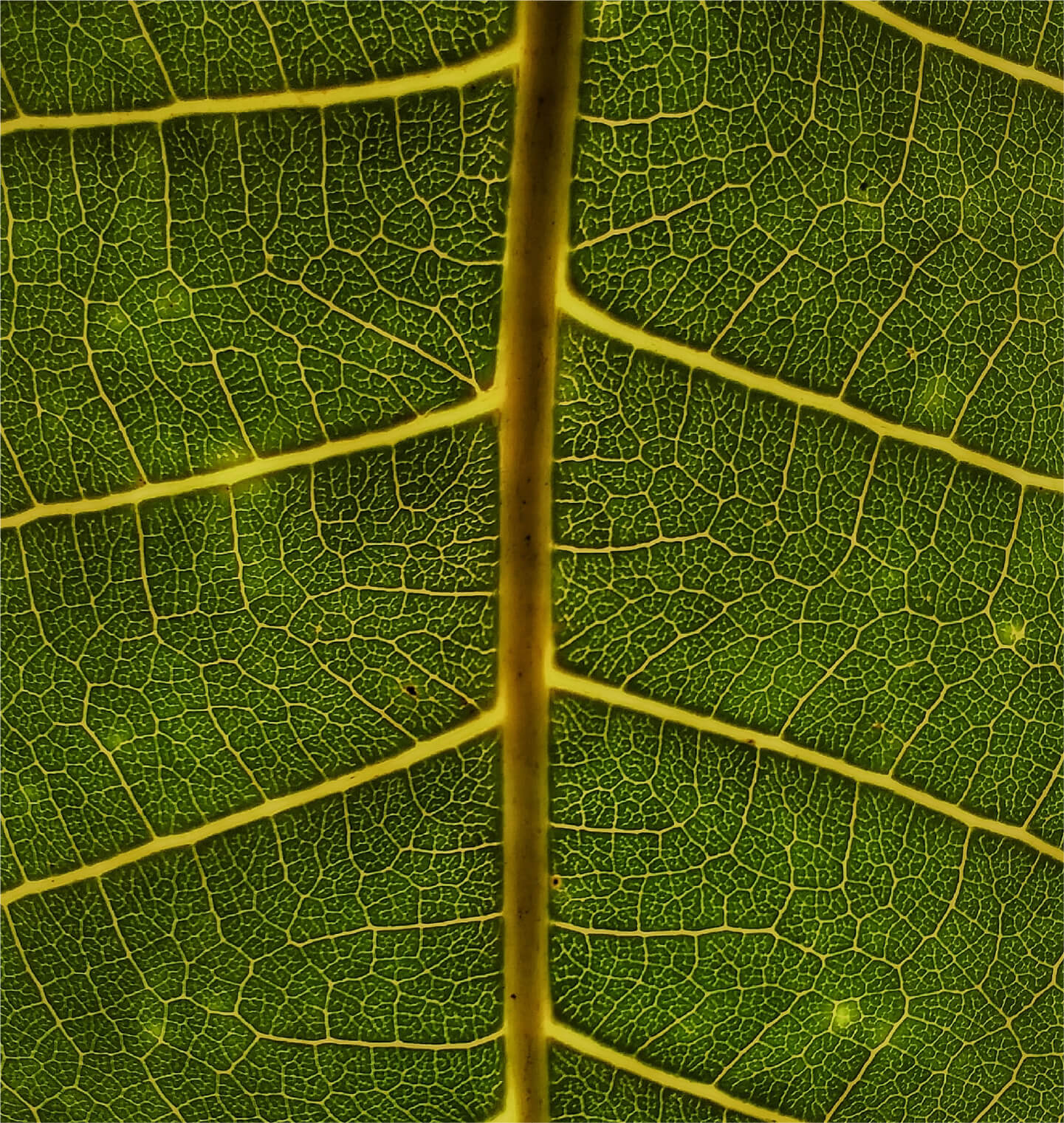 What are the best shoes for neuropathy?