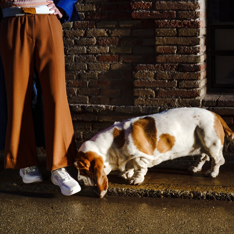 Women's London - White