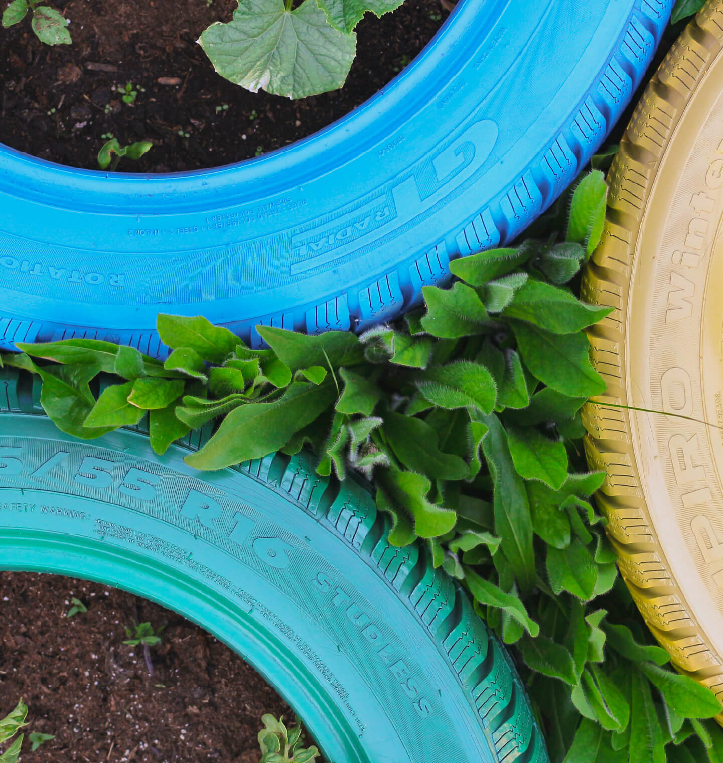 What is pronation, and why does it matter?