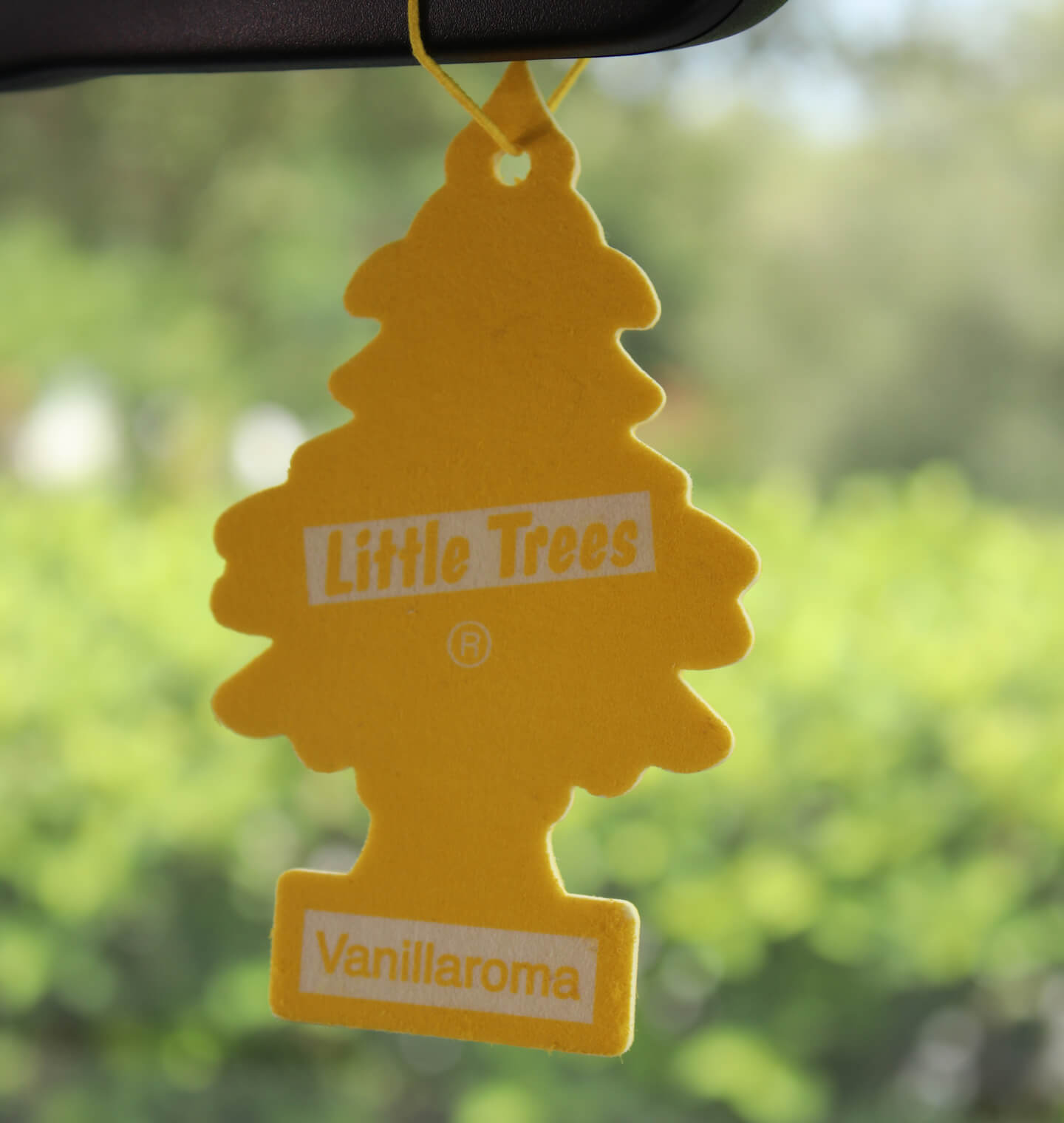 Smelly Shoes How To Get Odor Out Of Your Shoes Kizik smelly-shoes-how-to-get-odor-out-of-your-shoes-kizik